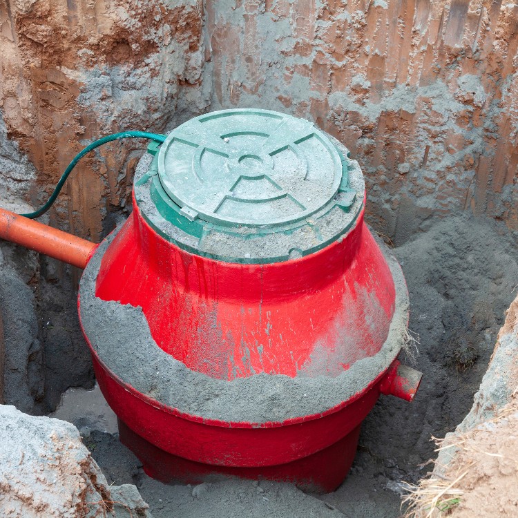 Just another WordPress site